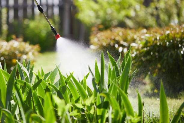 Tamper-Resistant Bait Stations for Rodents in South Coventry
