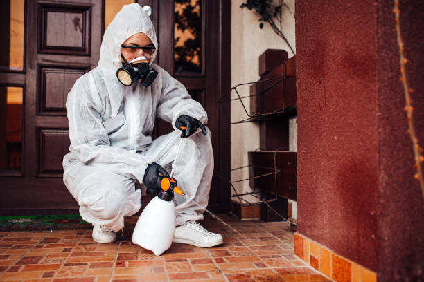 Attic and Crawl Space Rodent Treatment in South Coventry